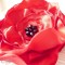 Broche coquelicot bijou mariage rouge noir fleur robe cocktail cérémonie
