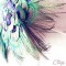 mariage plumes paon bouquet mariee original atypique cereza deco