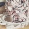 Bouquet Toile de Jouy mariage champetre chic rose gris "Pauline"