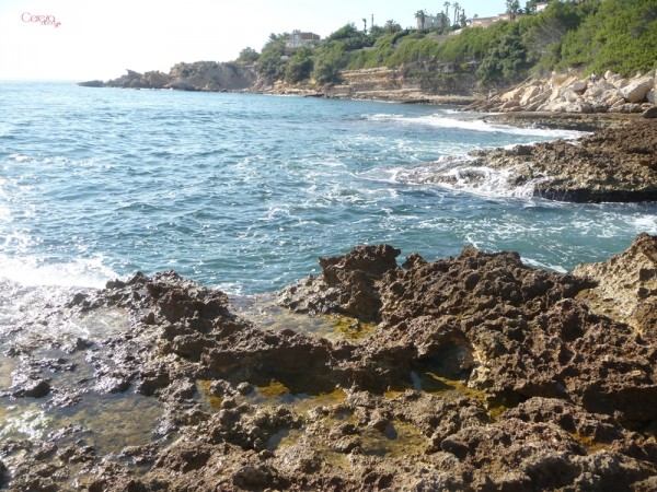 calanques cereza deco