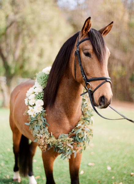 idée originale mariage champetre ivoire chocolat cheval