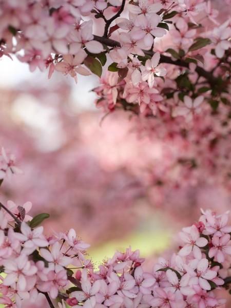 moodboard mars envie de printemps mademoiselle cereza creatrice bijoux mariage