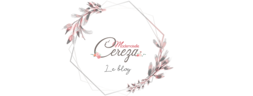 Melle Cereza blog mariage original