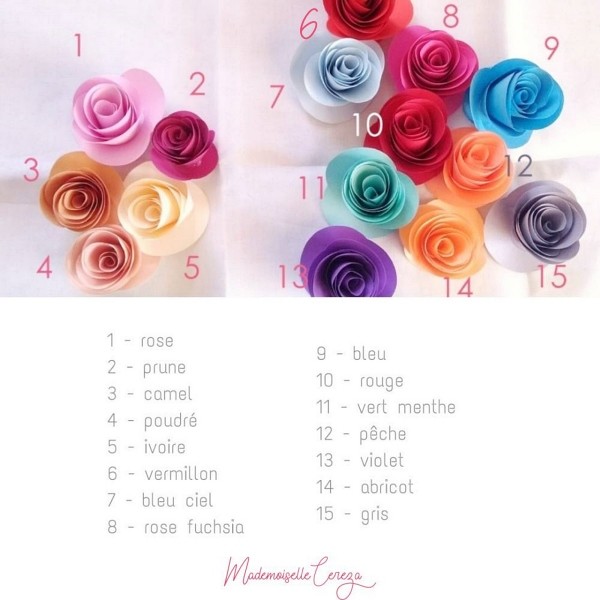palette-couleurs-unies-fleurs-bouquet-papier-Gabriella-Melle-Cereza-c
