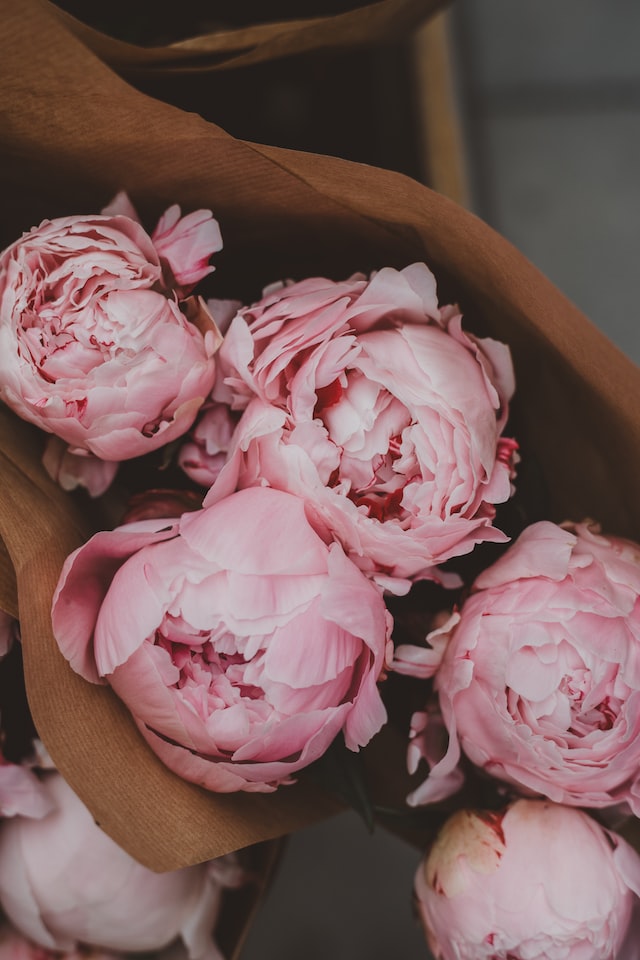 bouquet plumes mariage